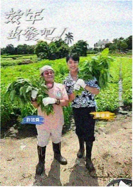 专栏协作计划资讯配图